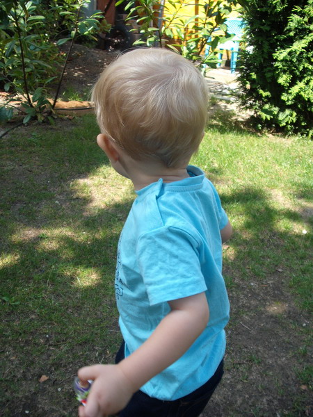 Finn 13-8-2010 12
